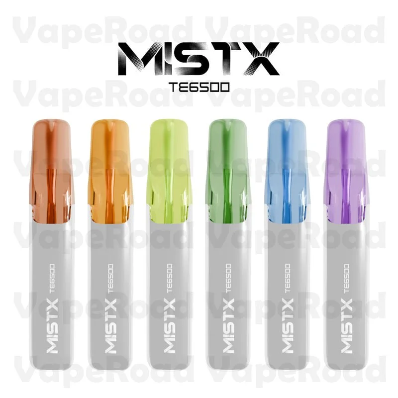 MIST-X TE6500 鴨嘴獸 一次性電子煙｜6500 口・陶瓷芯・可重複充電
